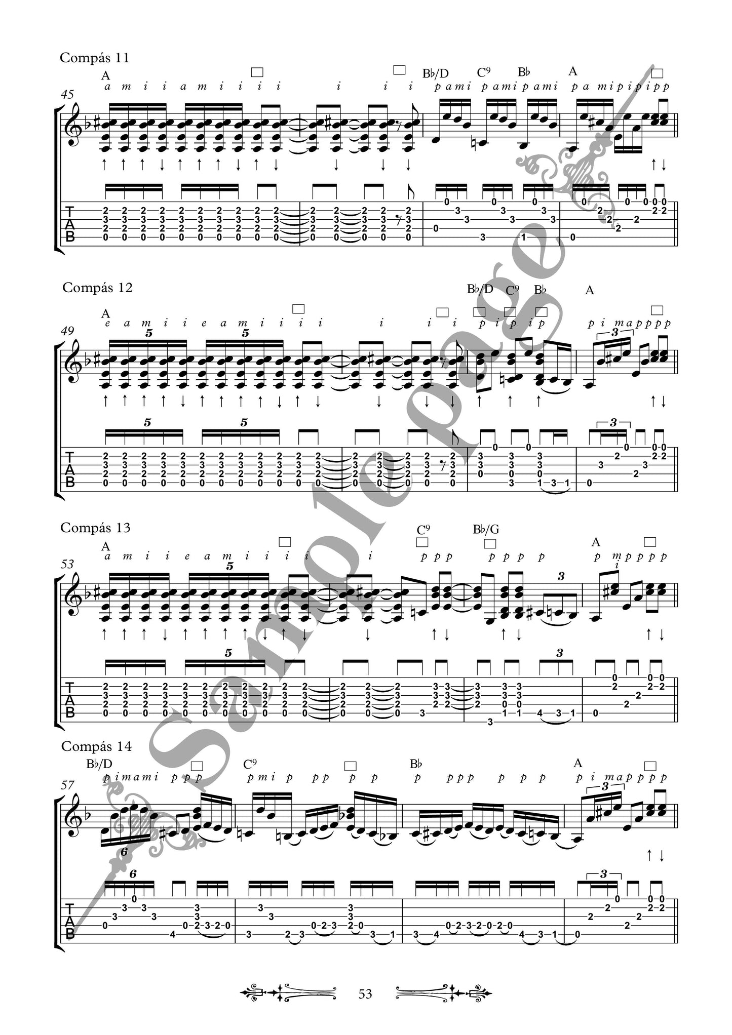 Joonas Widenius - Flamenco guitar lessons VOL I - Compás material